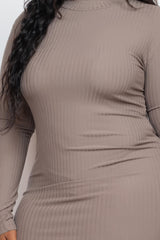 Plus Size Ribbed Long Sleeve Mock Neck Mini Bodycon Dress | Mixtshop LLC