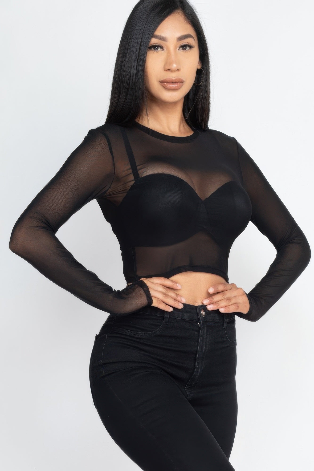 Sexy Sheer Mesh Long Sleeve Crop Top | Mixtshop LLC