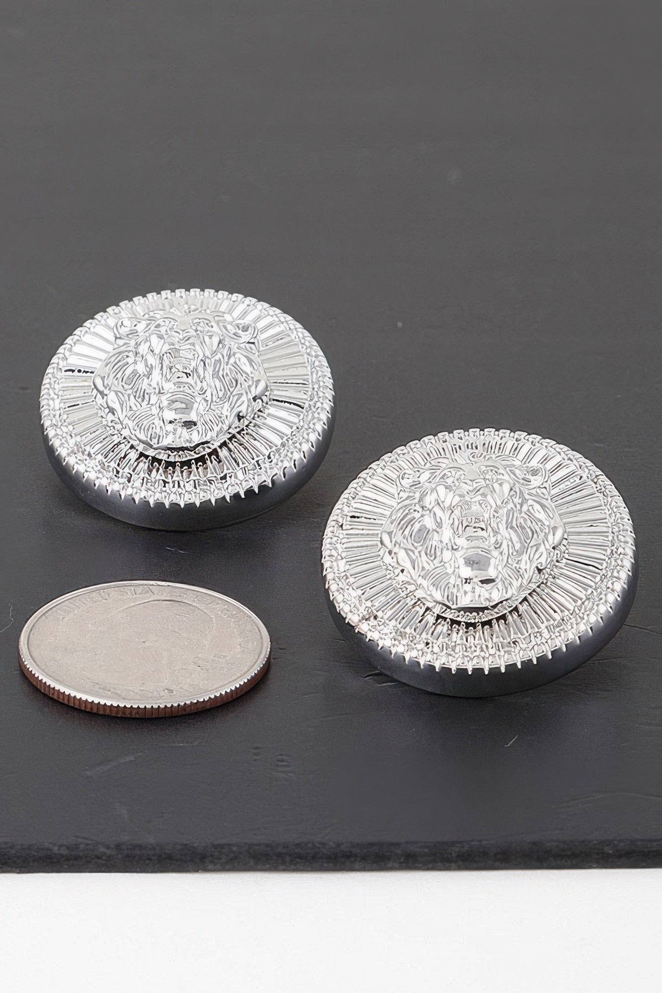 Grand Lion Emblem Earrings | Mixtshop LLC