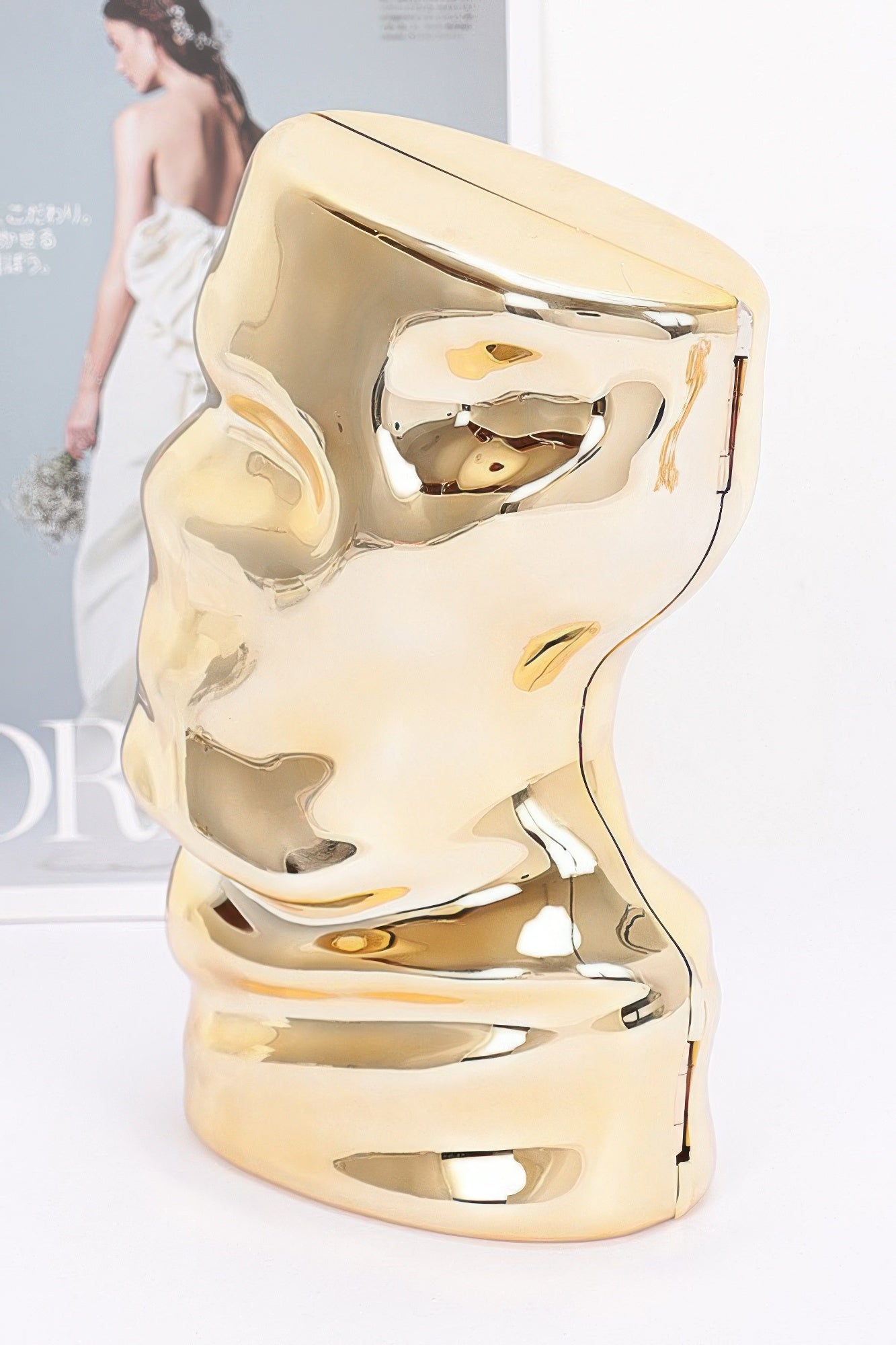 Acrylic Case Bag | Mixtshop LLC