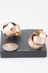 Delicate Shiny Curved Earrings | Mixtshop LLC