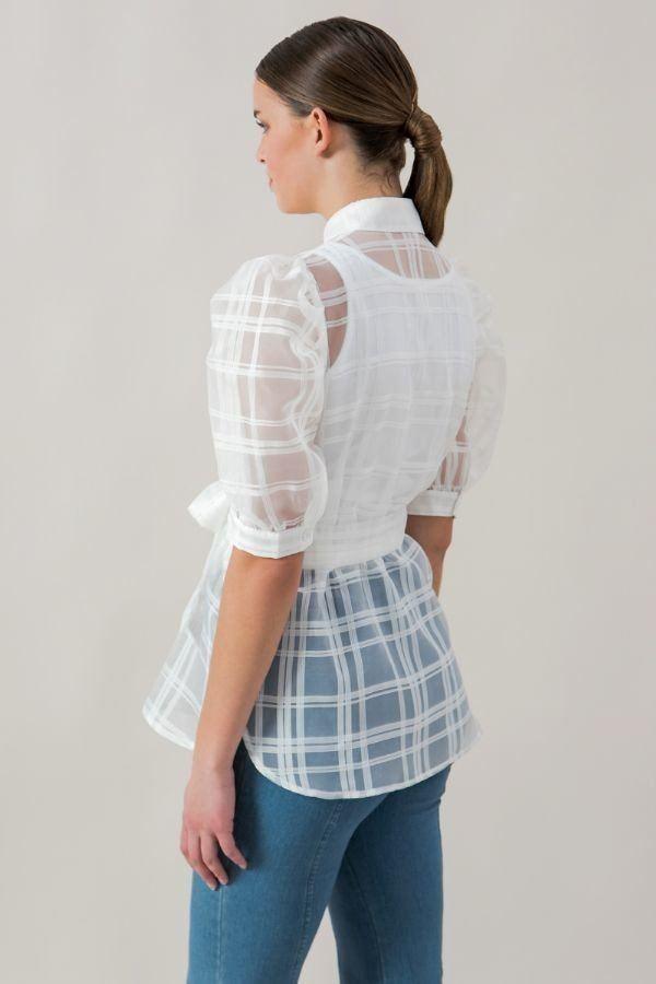 A See-thru Mini Length Organza Top | Mixtshop LLC