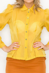 Organza Pleated Long Sleeve Blouse | Mixtshop LLC