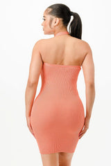 Halter Neck Bodycon Dress | Mixtshop LLC