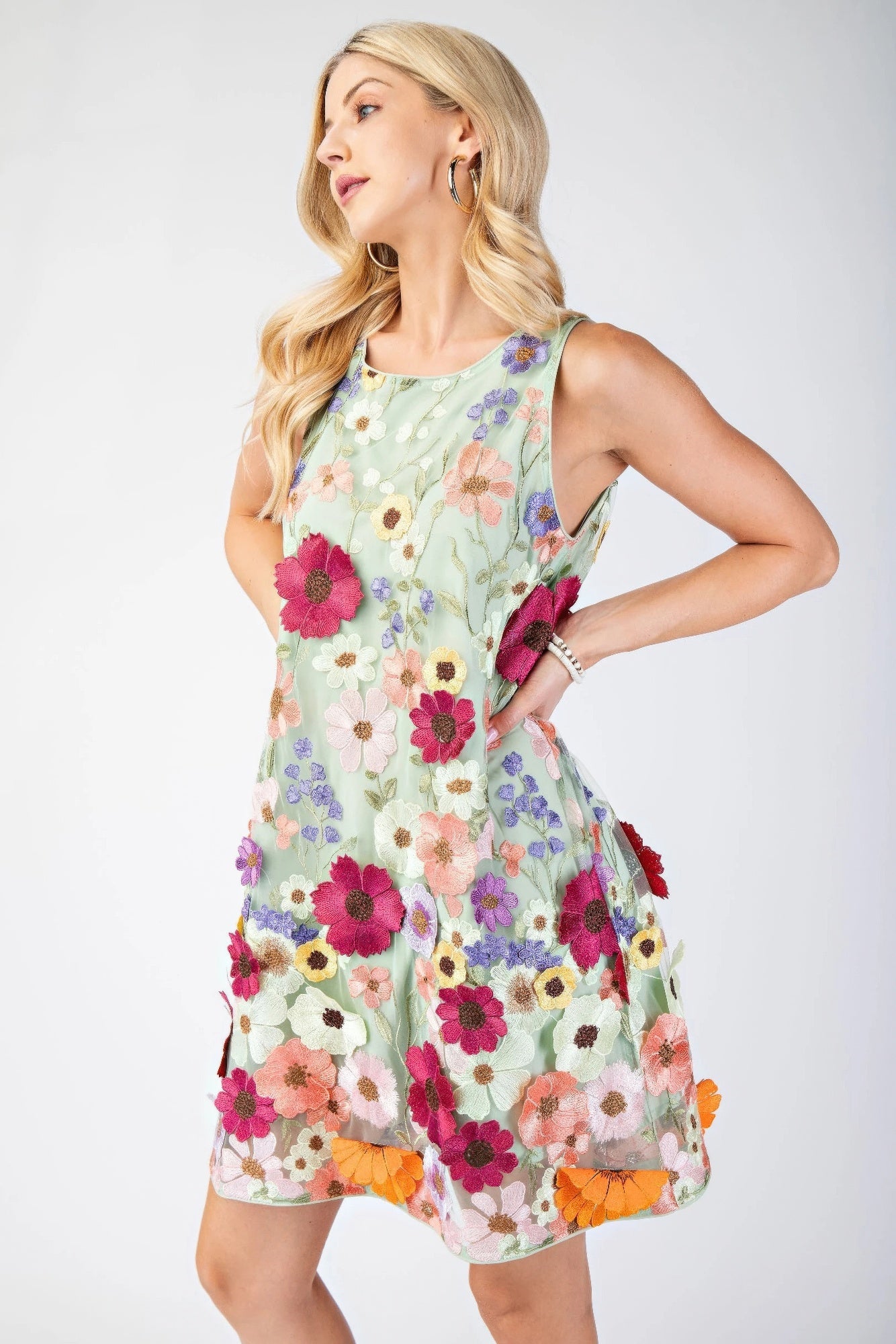 3d Floral Embroidered Sleeveless Mini Dress | Mixtshop LLC