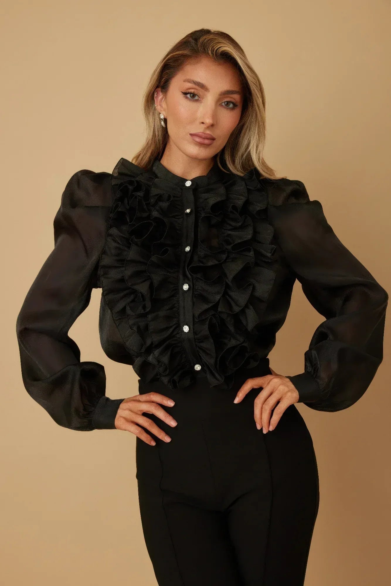 Ruffle Micro Crystal Long Sleeve Blouse | Mixtshop LLC
