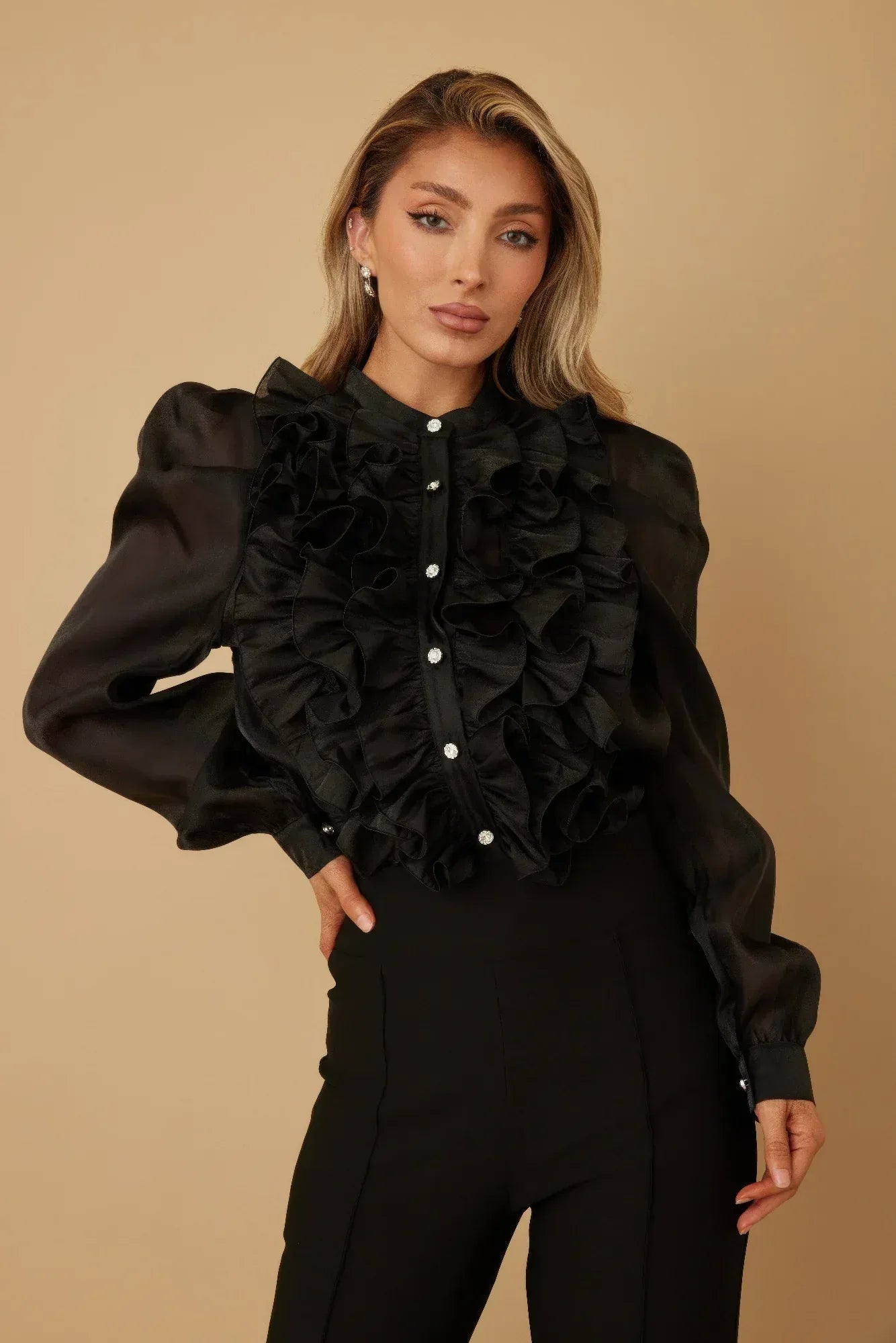 Ruffle Micro Crystal Long Sleeve Blouse | Mixtshop LLC