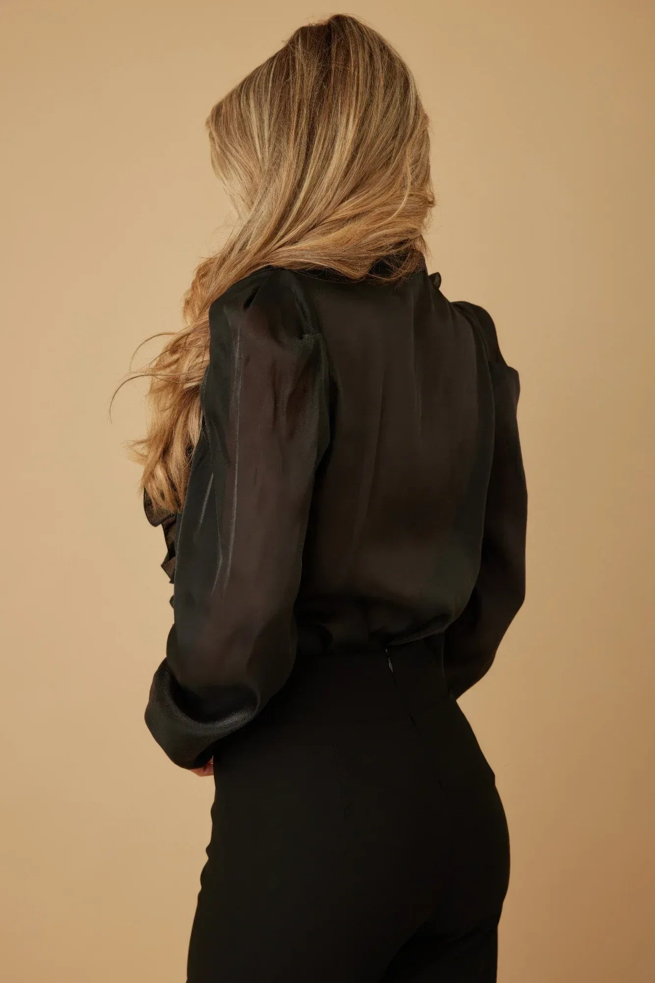 Ruffle Micro Crystal Long Sleeve Blouse | Mixtshop LLC