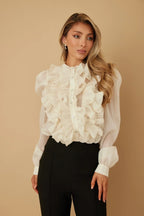 Ruffle Micro Crystal Long Sleeve Blouse | Mixtshop LLC
