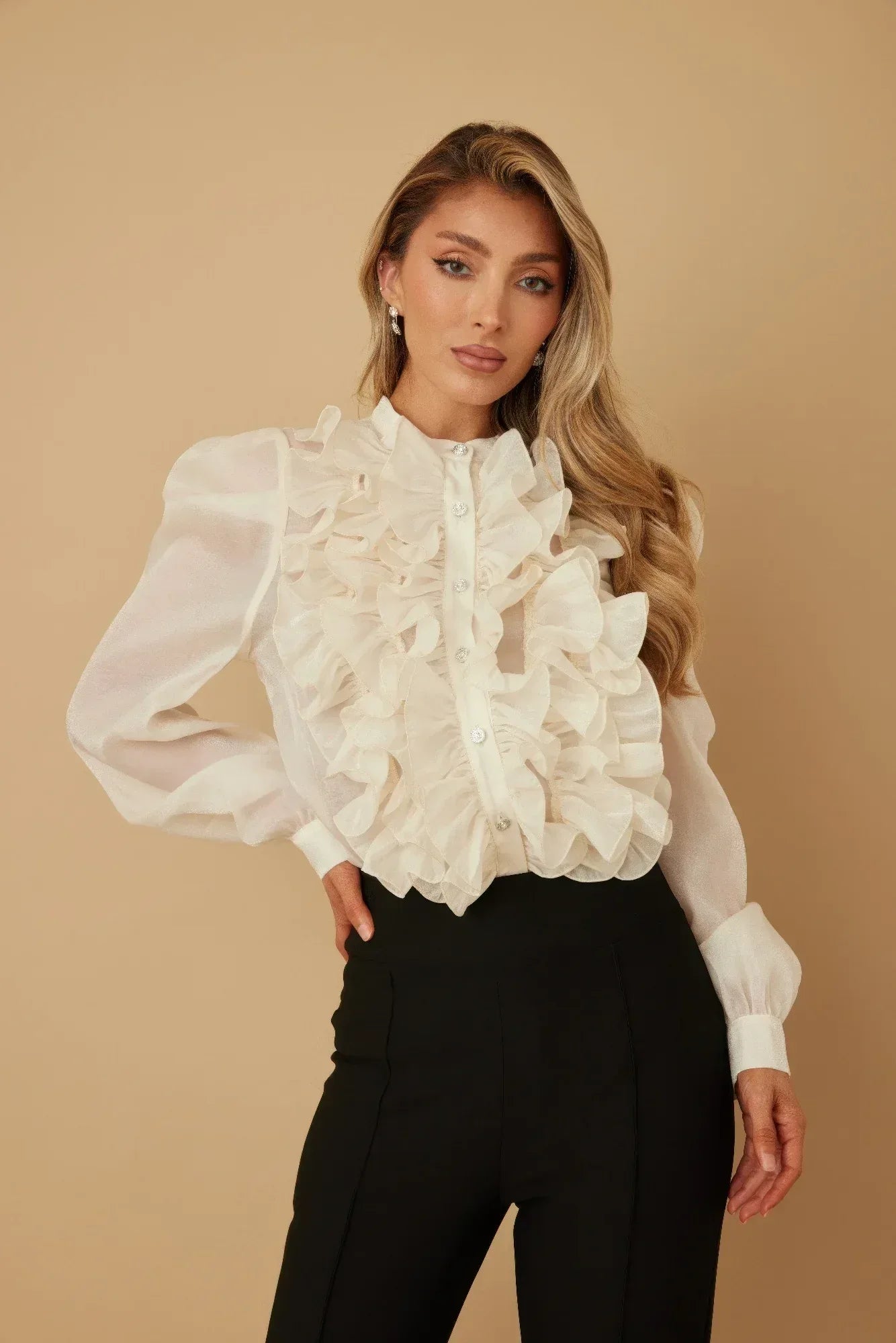 Ruffle Micro Crystal Long Sleeve Blouse | Mixtshop LLC