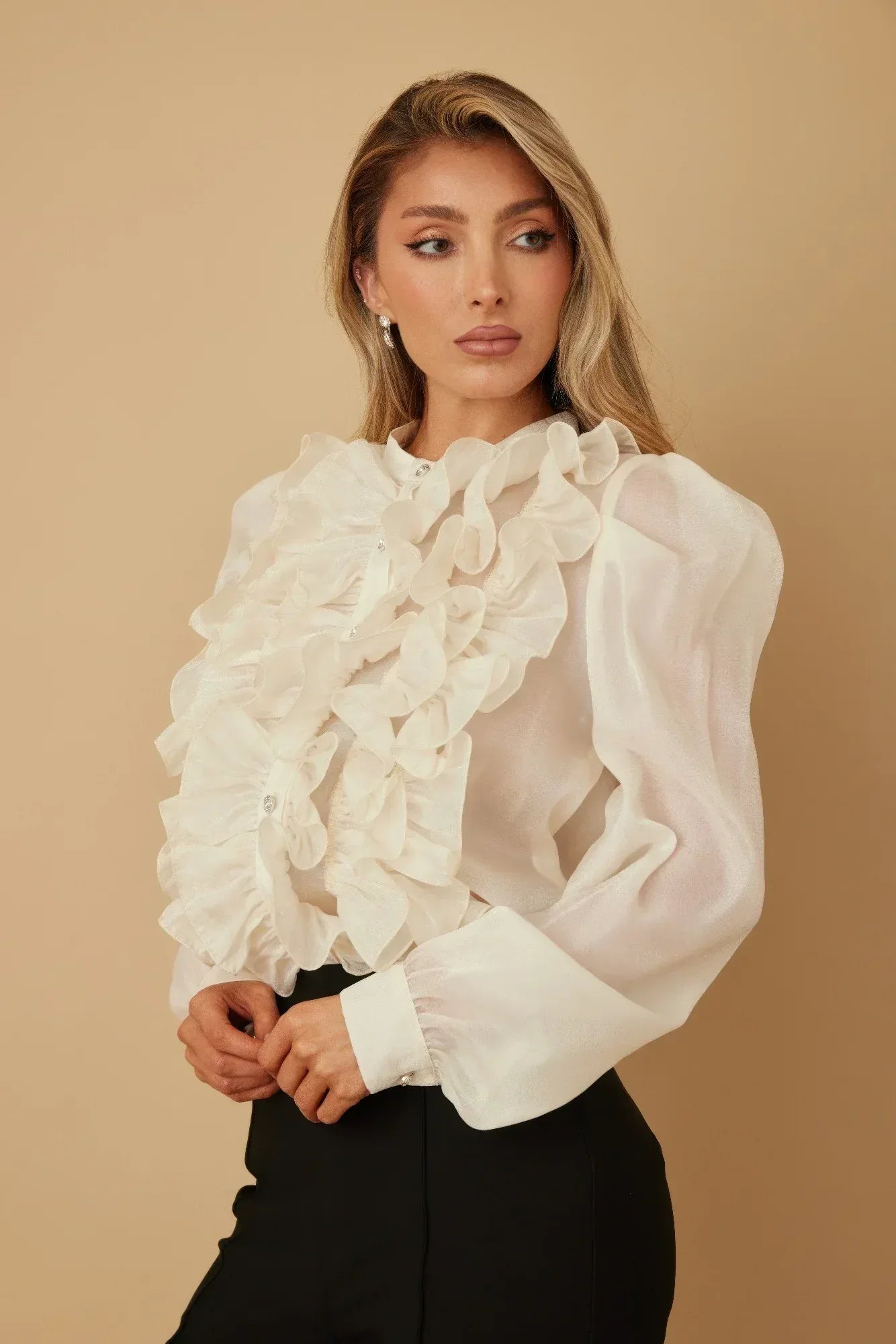 Ruffle Micro Crystal Long Sleeve Blouse | Mixtshop LLC