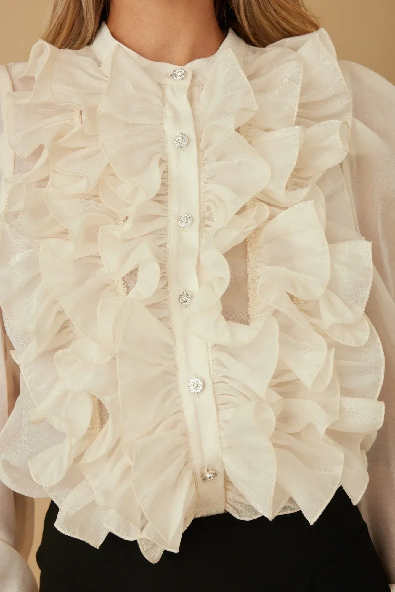 Ruffle Micro Crystal Long Sleeve Blouse | Mixtshop LLC