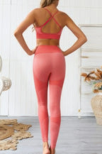Seamless Activewear Two Piece Set | Mixtshop LLC