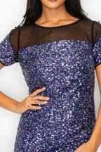 Sparkle Sequins & Mesh Cap Sleeve Mini Dress | Mixtshop LLC