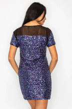 Sparkle Sequins & Mesh Cap Sleeve Mini Dress | Mixtshop LLC