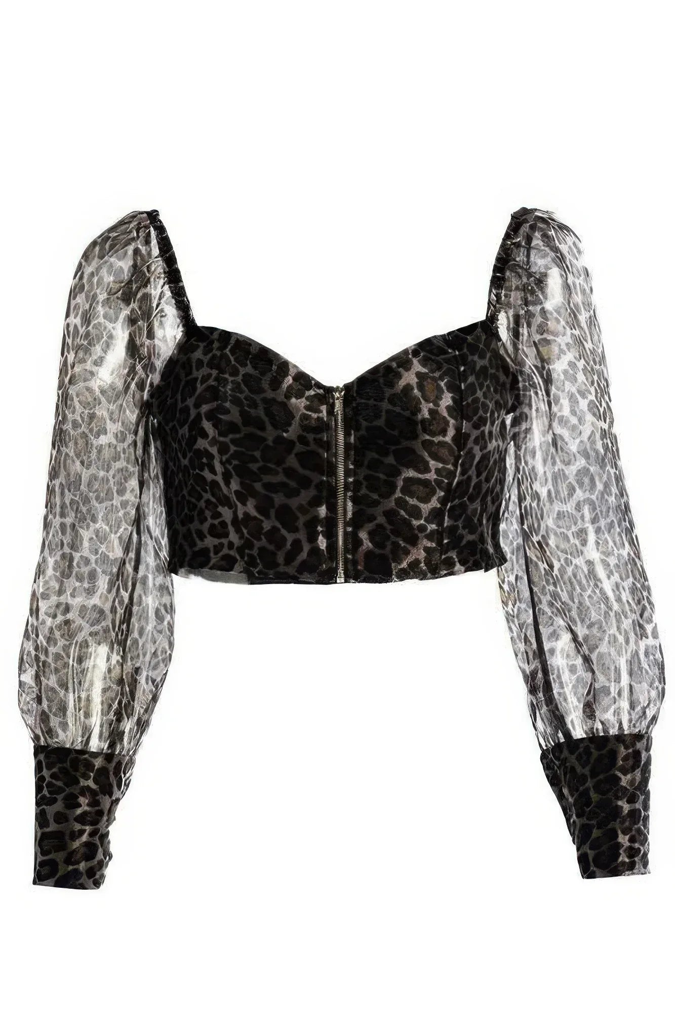 Sheer Leopard Print Crop Top | Mixtshop LLC