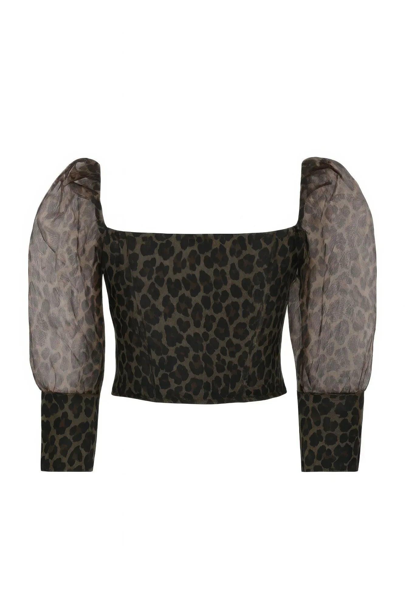 Sheer Leopard Print Crop Top | Mixtshop LLC