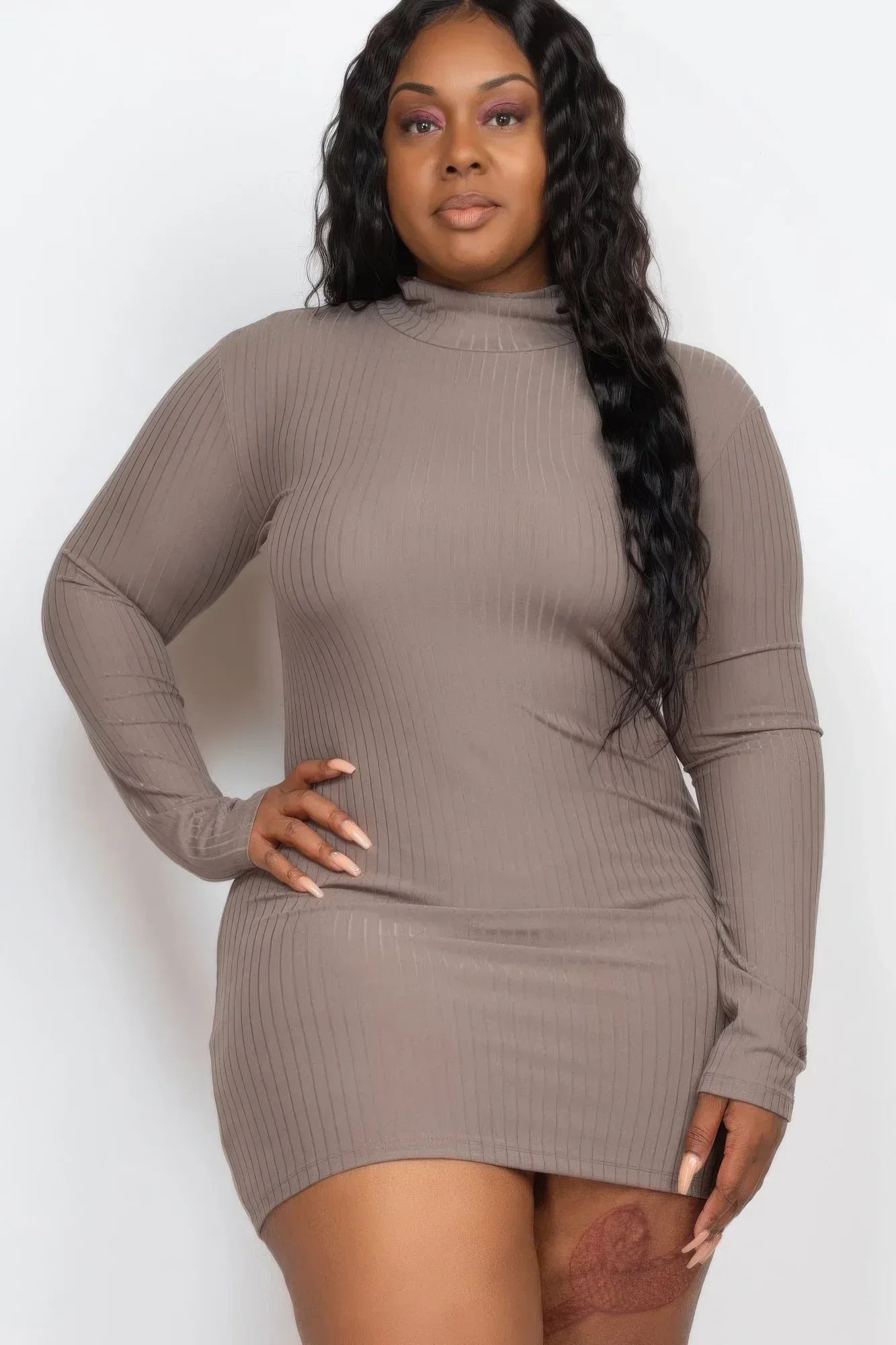 Plus Size Ribbed Long Sleeve Mock Neck Mini Bodycon Dress | Mixtshop LLC Main image