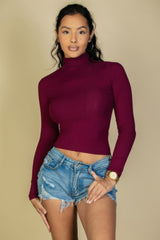 Ribbed Turtleneck Long Sleeve Top | Mixtshop LLC