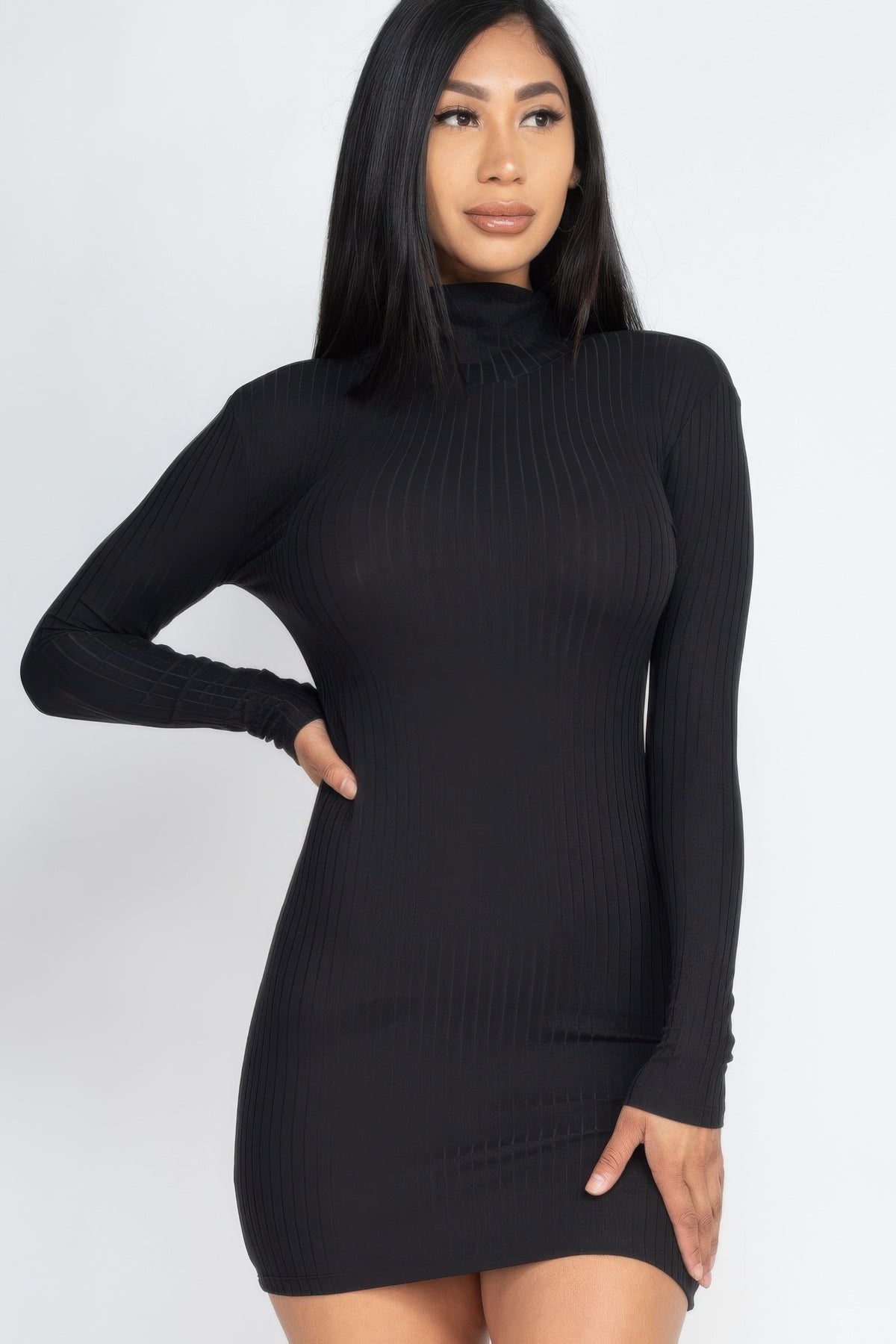 Ribbed Mock Neck Bodycon Mini Dress | Mixtshop LLC