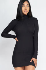 Ribbed Mock Neck Bodycon Mini Dress | Mixtshop LLC