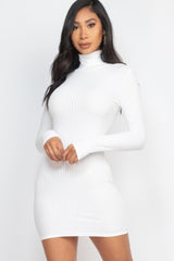 Ribbed Mock Neck Bodycon Mini Dress | Mixtshop LLC