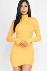 Ribbed Mock Neck Bodycon Mini Dress | Mixtshop LLC
