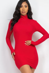 Ribbed Mock Neck Bodycon Mini Dress | Mixtshop LLC