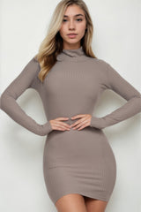 Ribbed Mock Neck Bodycon Mini Dress | Mixtshop LLC