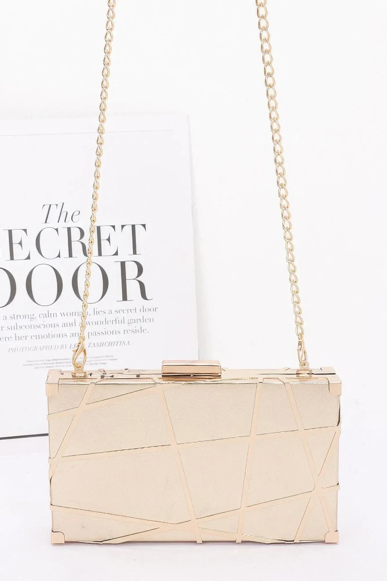 Metal Case Metallic Clutch | Mixtshop LLC Main image