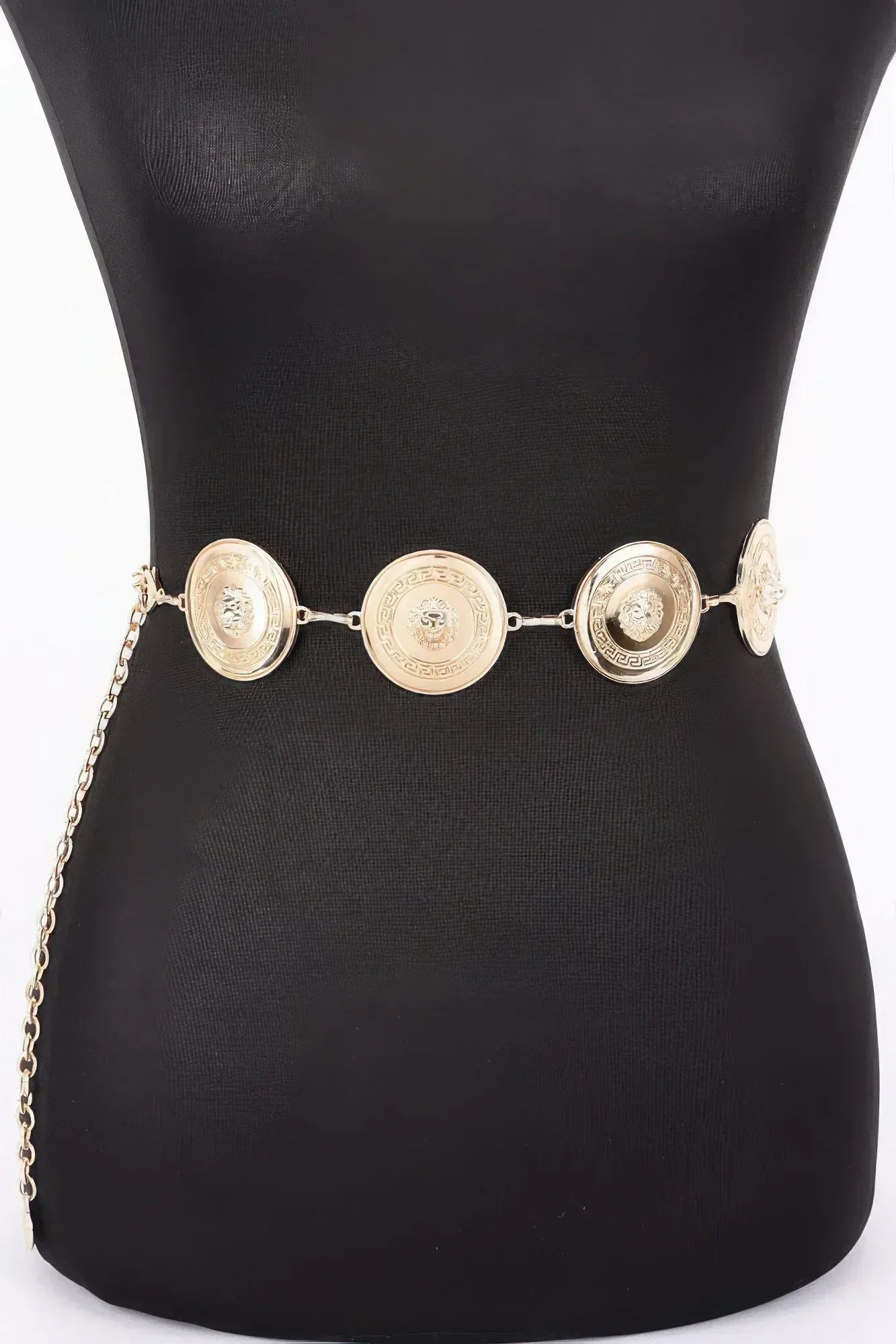 Multi Metal Chain Belt | Mixtshop LLC Main image