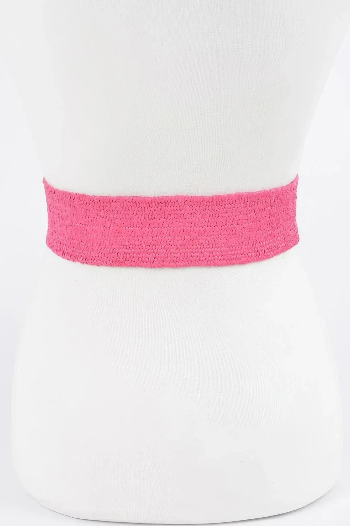 Faux Straw Two Buckle Elastic Belt | Mixtshop LLC