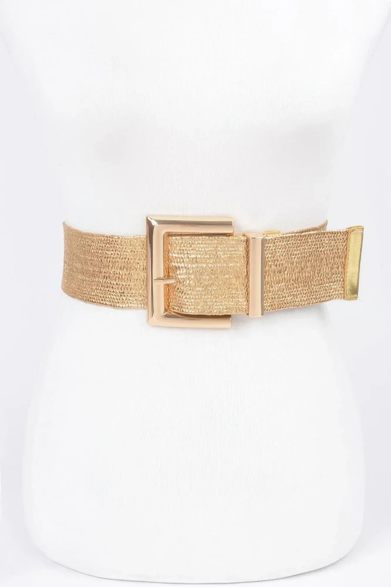 Clear Pvc Metal Buckle Belt | Mixtshop LLC Main image