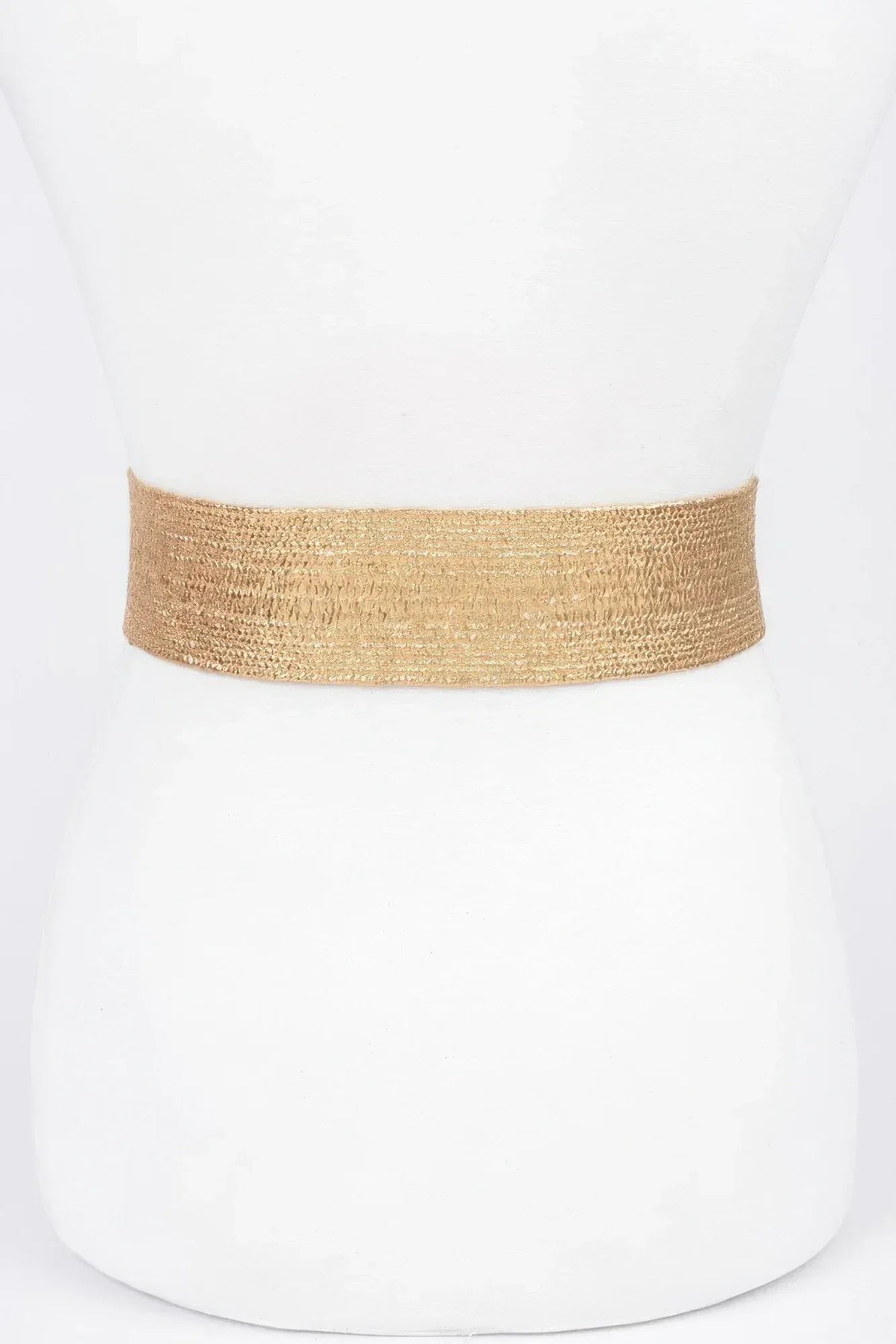 Clear Pvc Metal Buckle Belt | Mixtshop LLC