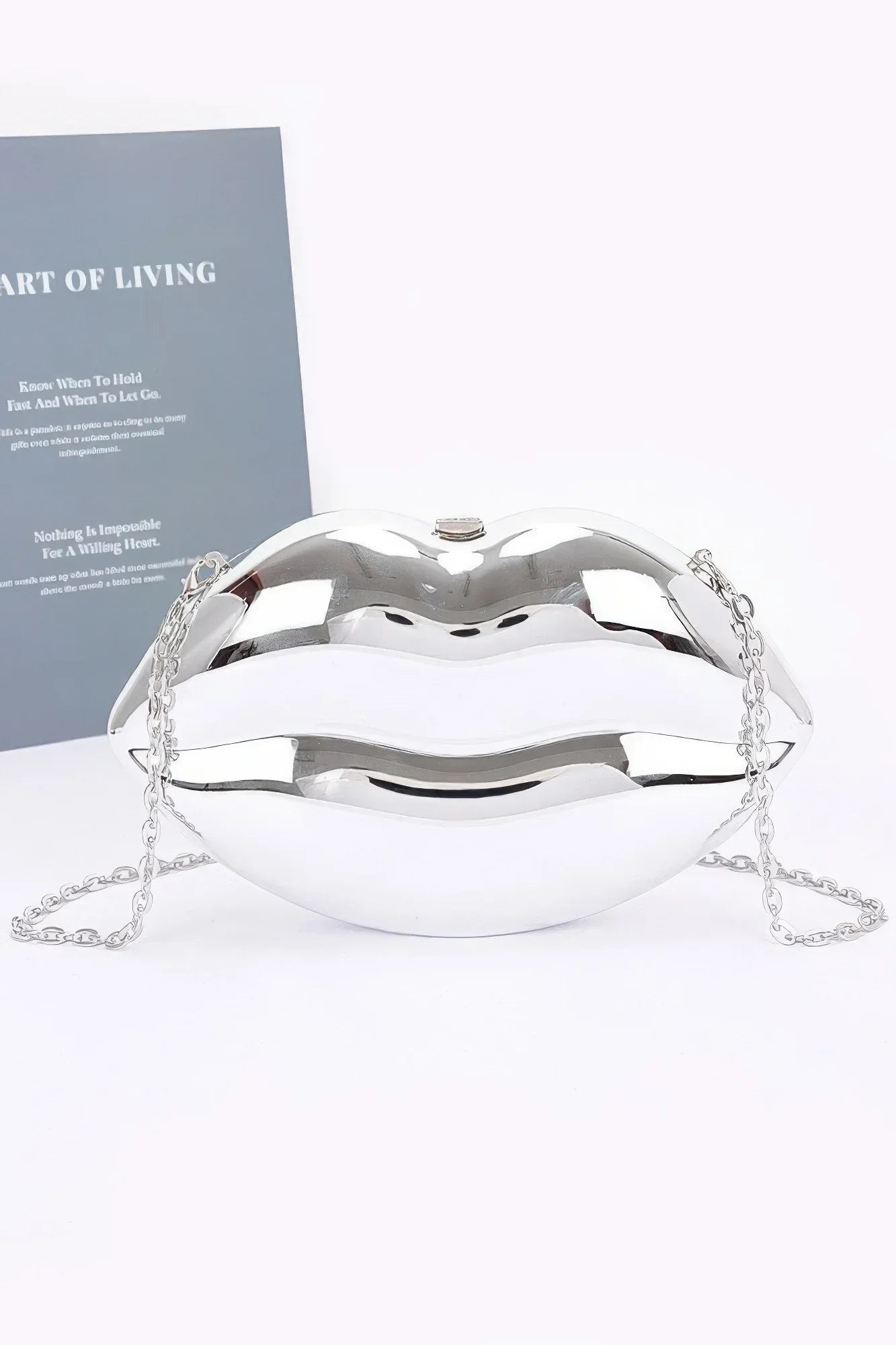 Acrylic Case Bag | Mixtshop LLC