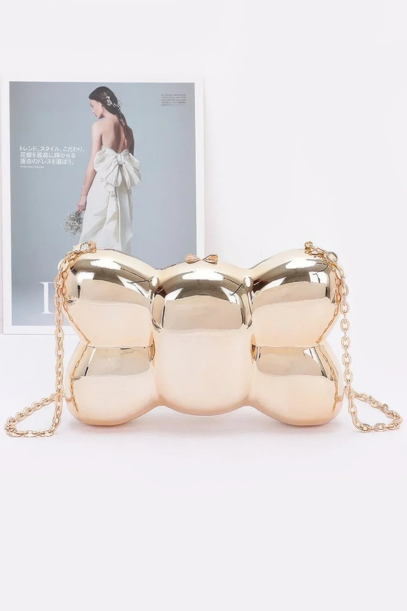 Acrylic Case Bag | Mixtshop LLC
