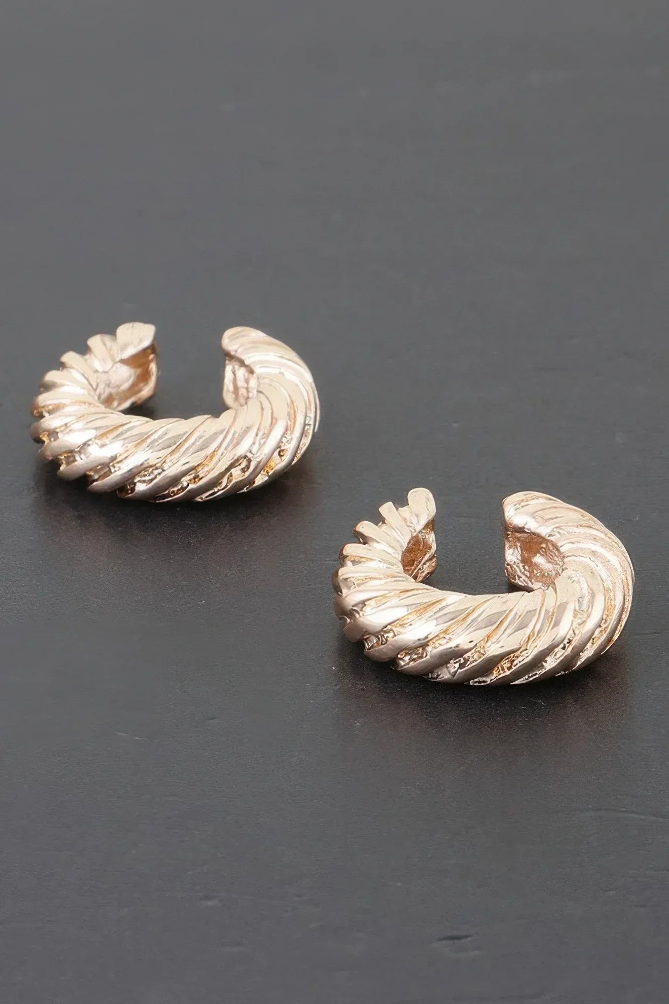 Twisted Rope Hoop Earrings | Mixtshop LLC Main image