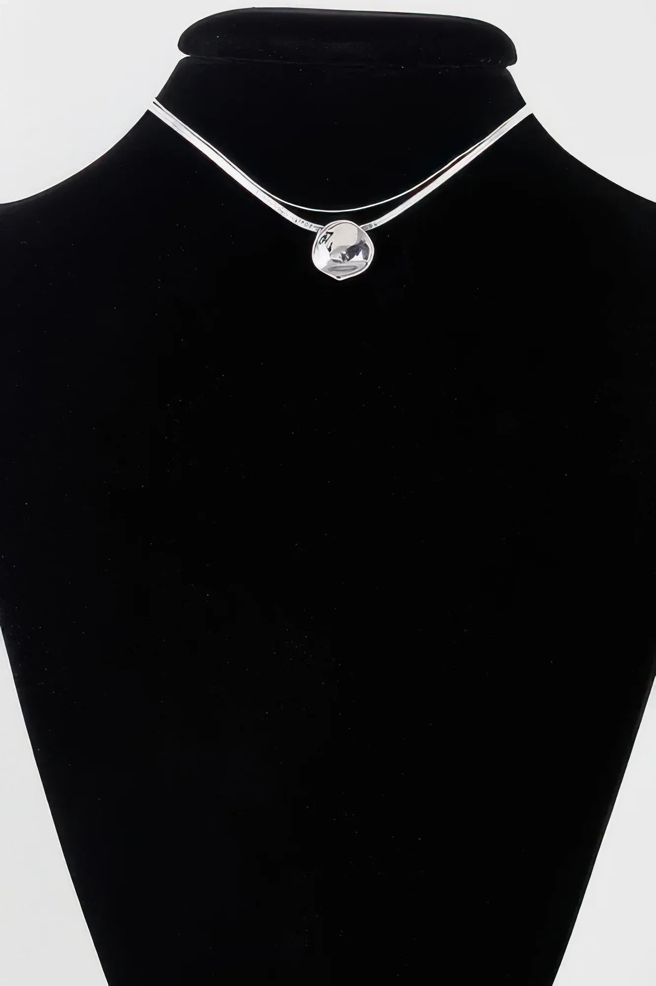 Reflection Plate Snake Chain Necklace | Mixtshop LLC