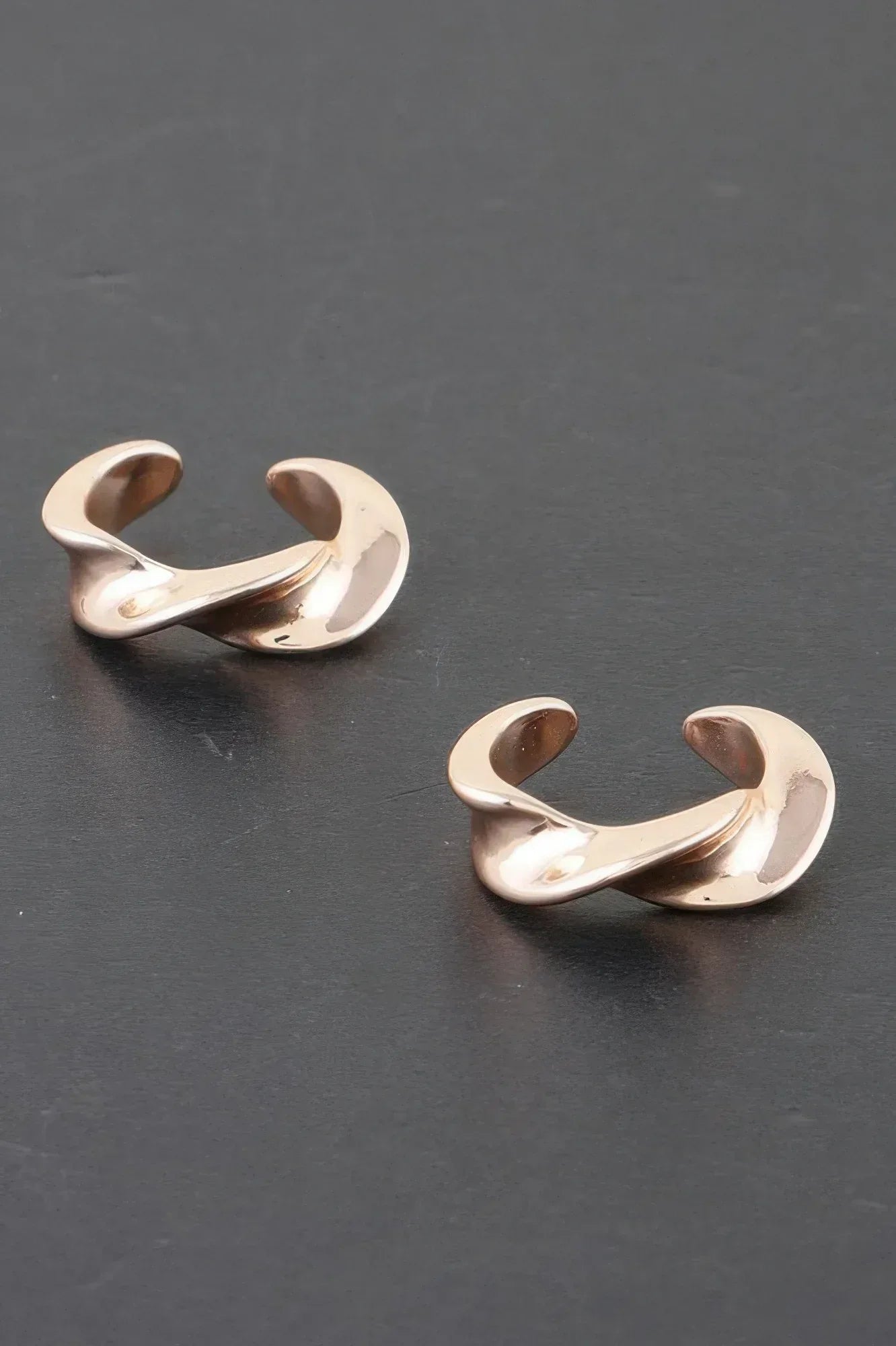 Twist Of Elegance Plated Earrings | Mixtshop LLC Main image