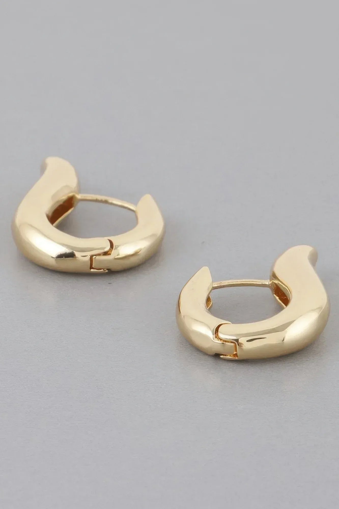 Shiny Harp Hoop Earrings | Mixtshop LLC