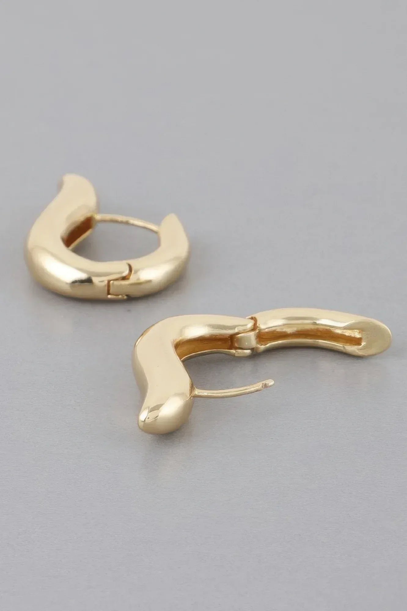 Shiny Harp Hoop Earrings | Mixtshop LLC