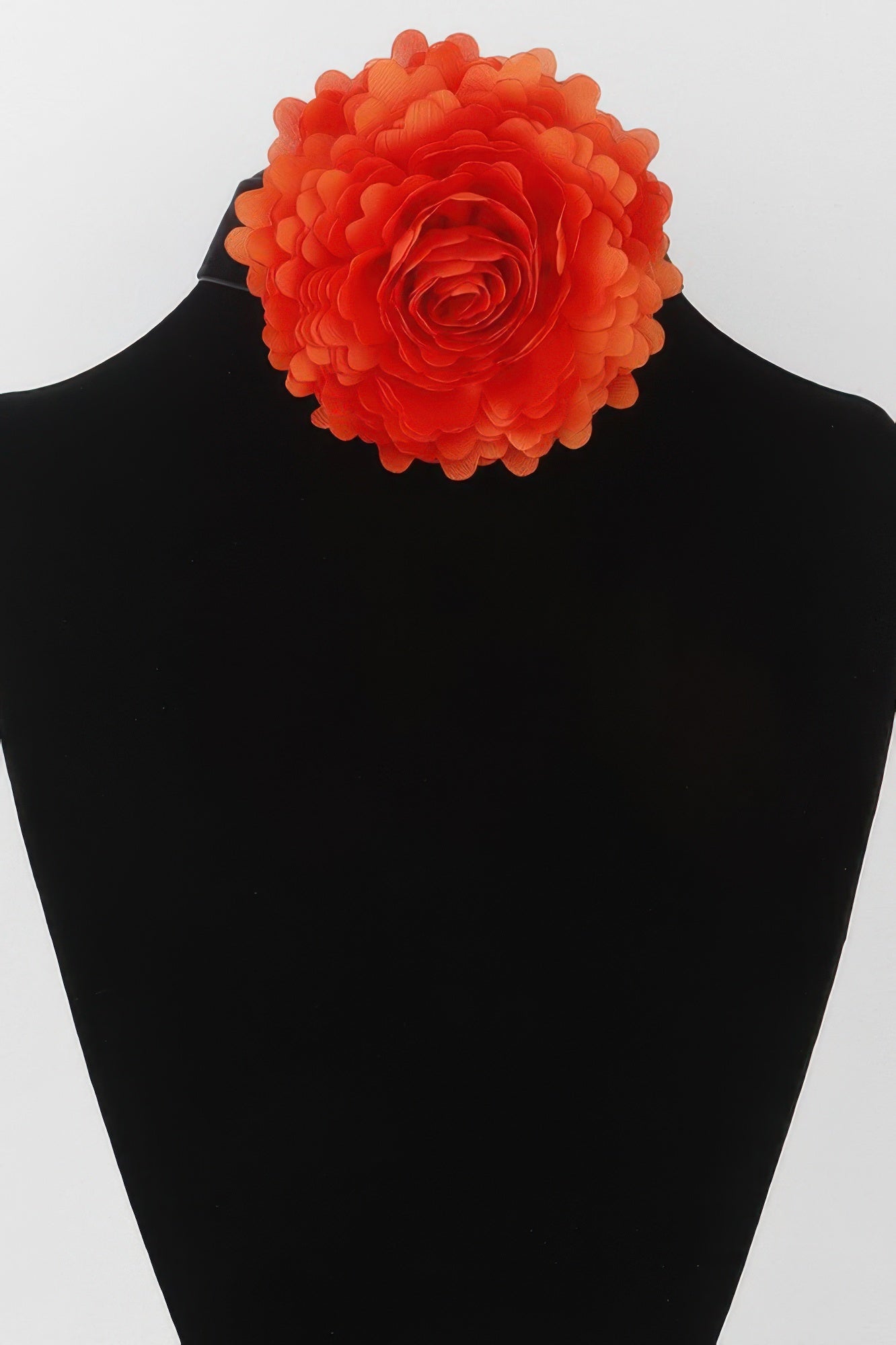 product image Main image
