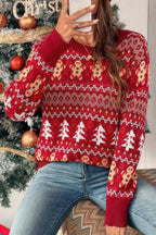 Knit Christmas Print Round Neck Loose Fit Sweater | Mixtshop LLC