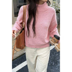Soft Knit Roll Neck Long Sleeves Sweater | Mixtshop LLC