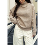 Soft Knit Roll Neck Long Sleeves Sweater | Mixtshop LLC