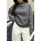 Soft Knit Roll Neck Long Sleeves Sweater | Mixtshop LLC