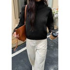 Soft Knit Roll Neck Long Sleeves Sweater | Mixtshop LLC