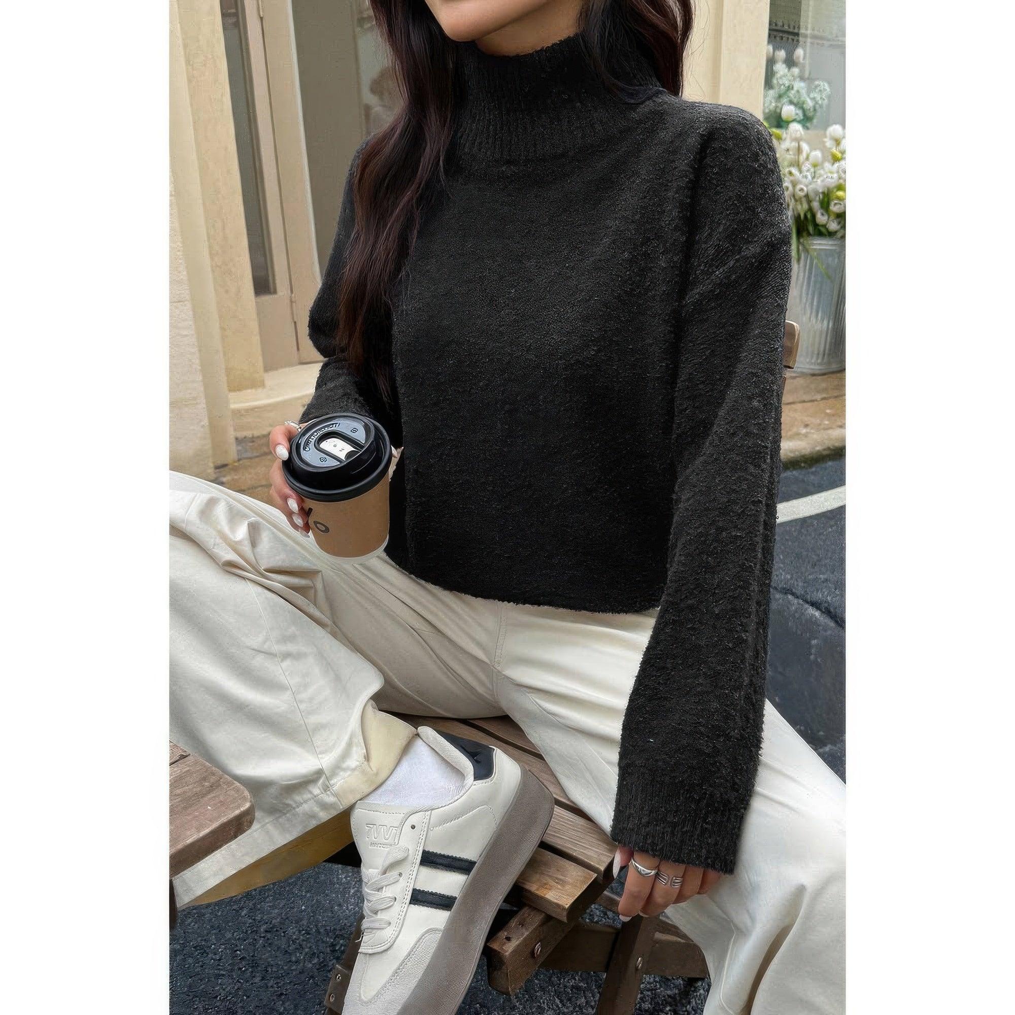 Soft Knit Roll Neck Long Sleeves Sweater | Mixtshop LLC
