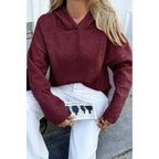 Solid Knit Long Sleeve Loose Hooded Sweater | Mixtshop LLC