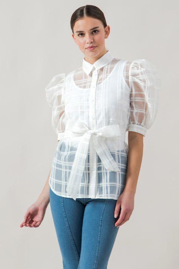 A See-thru Mini Length Organza Top | Mixtshop LLC